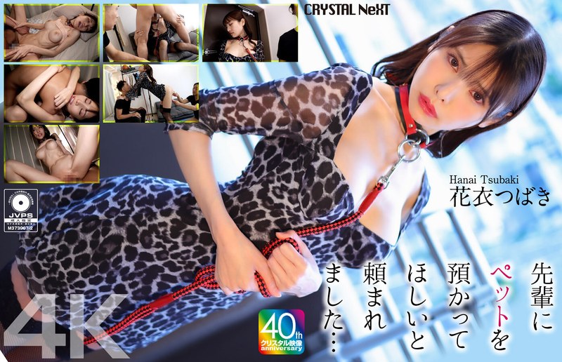 CRNX-254 [4K] My senior asked me to take care of his pet… Hanagoromo Tsubaki